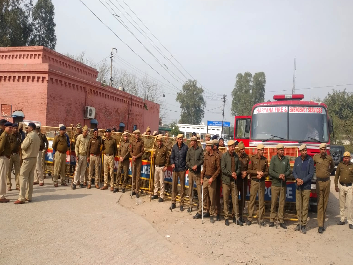 Ambala latest news farmers Protest in Ambala grain market farmers Protest with stray animals in Ambala