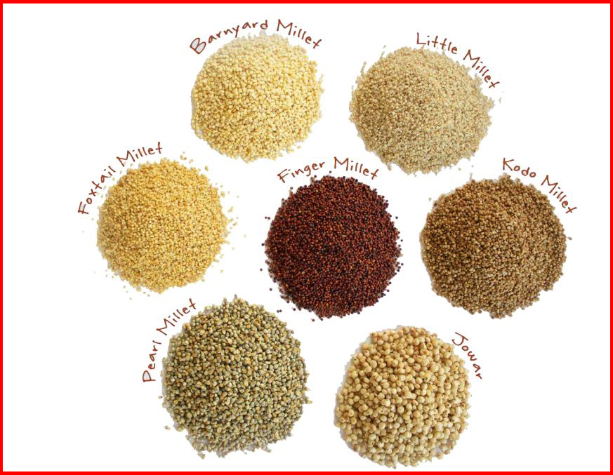 jaggery millets combination is beneficial International Year Of Millets 2023