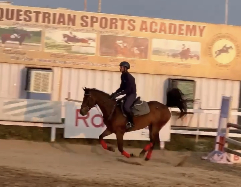 MP Equestrian Academy Bhopal