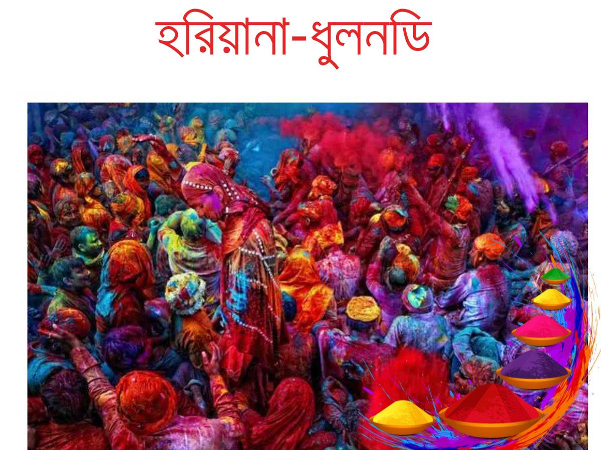 Holi Celebration