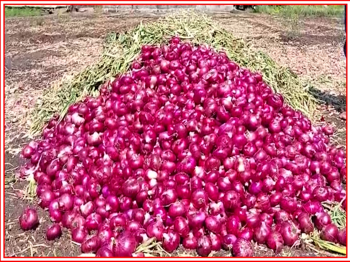 Onion producers are in the sanctity of farmers' movement