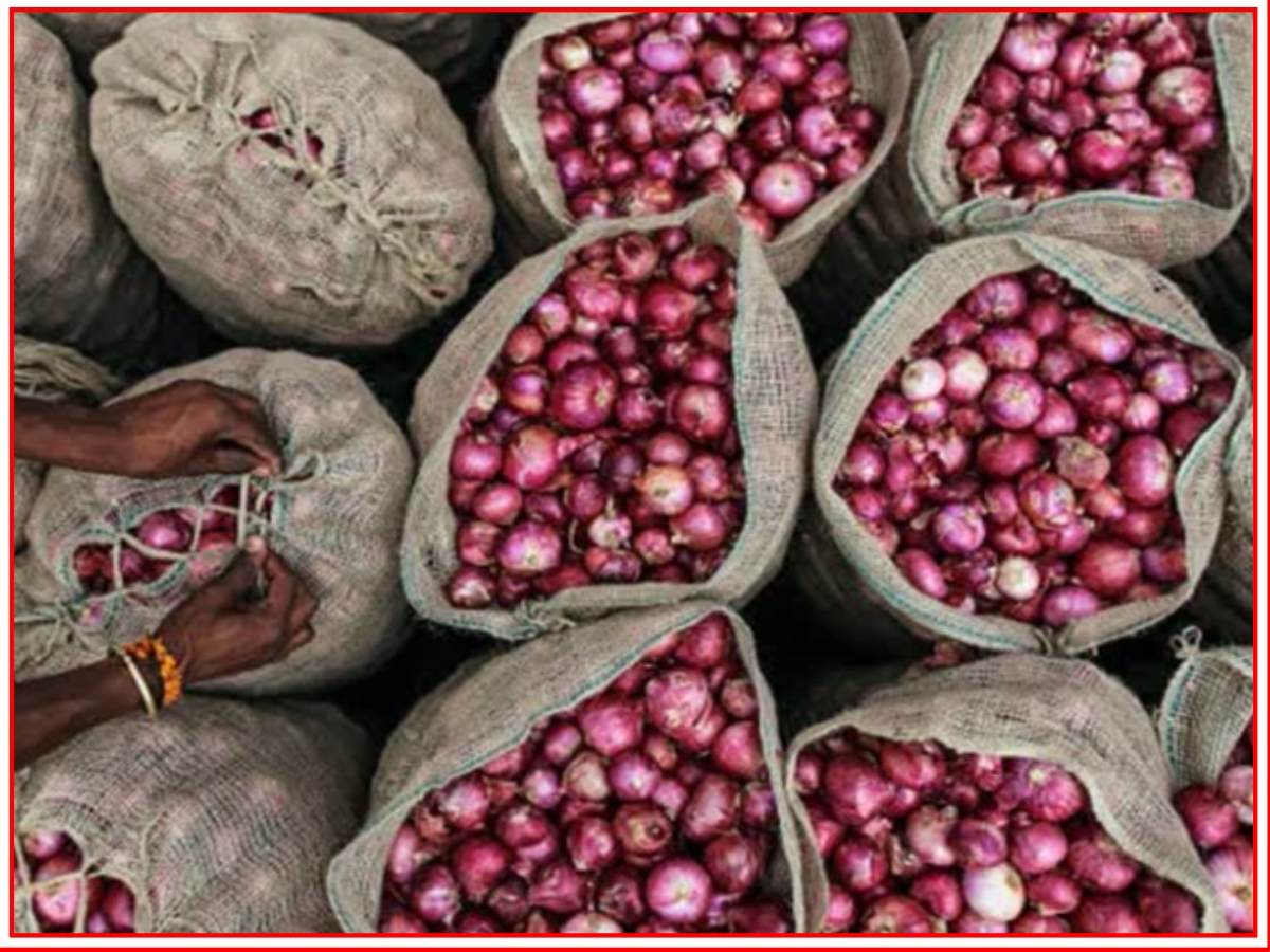 Farmers have brought onions for sale