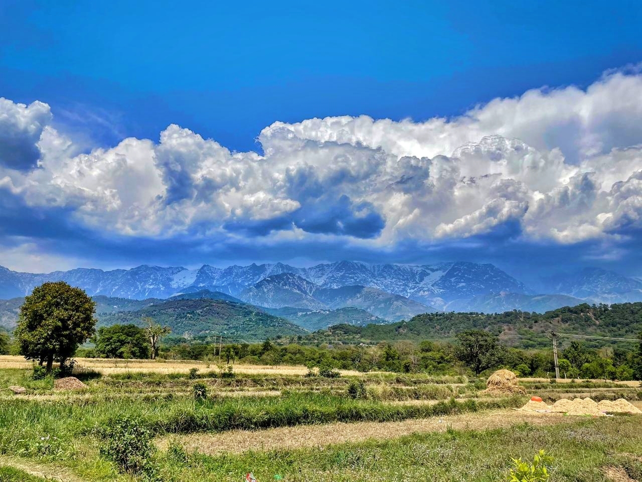 Himachal Weather Update