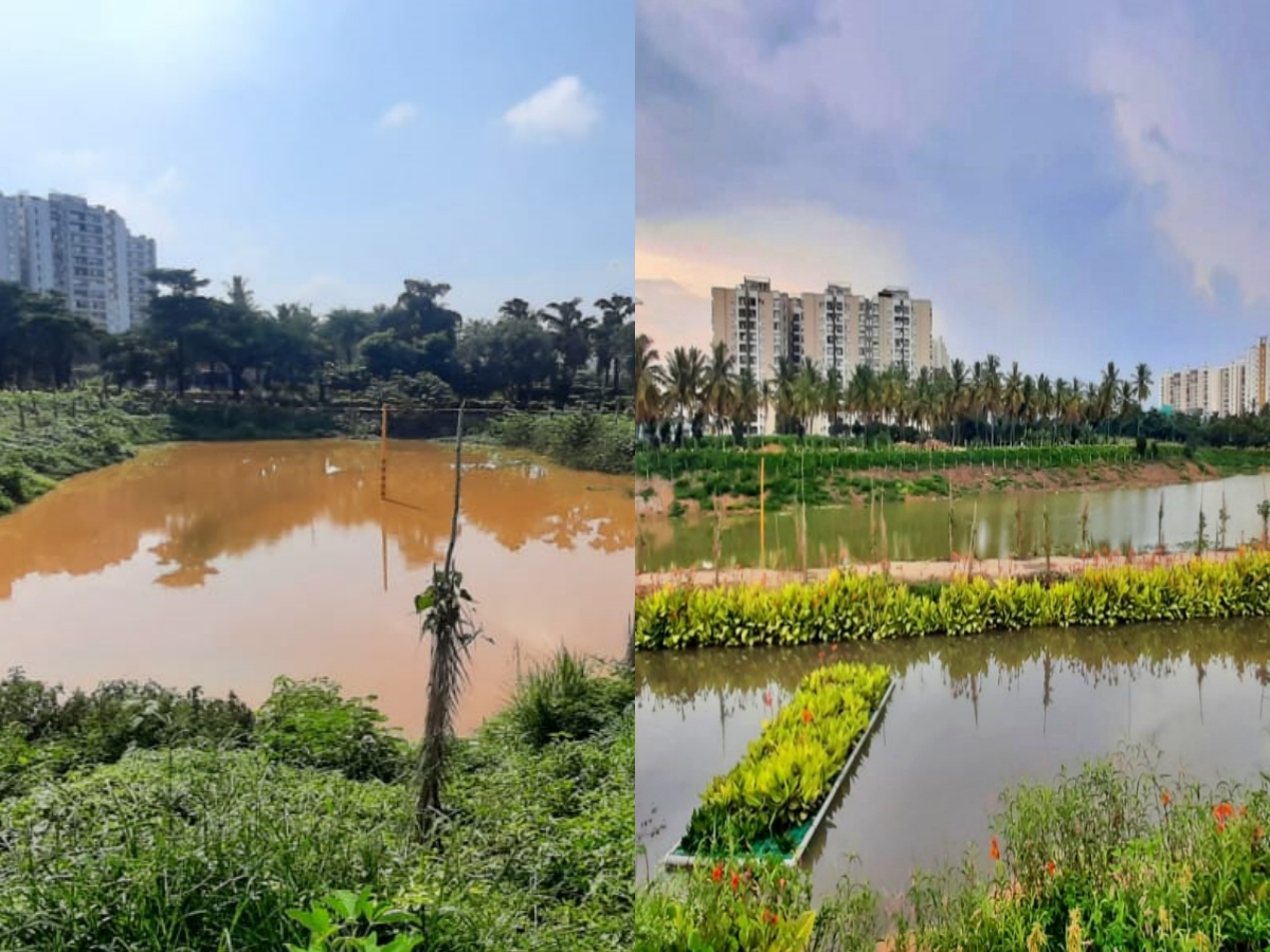 Maragondanahalli lake