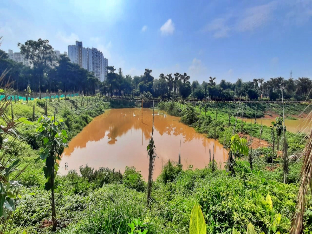 Maragondanahalli lake