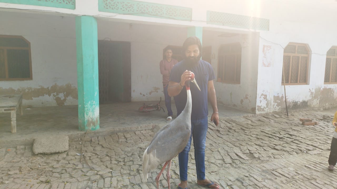 man stork friendship