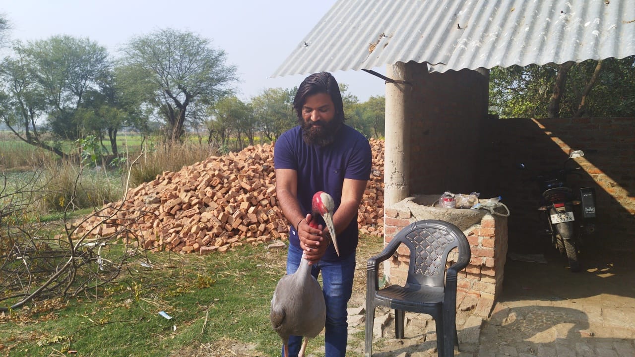 man stork friendship