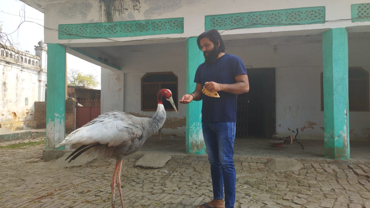 man stork friendship