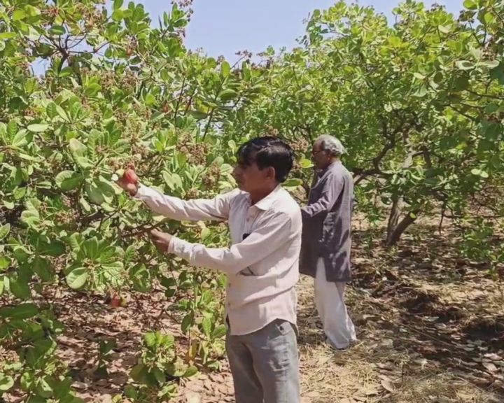 17 વર્ષ બાદ મળી સફળતા