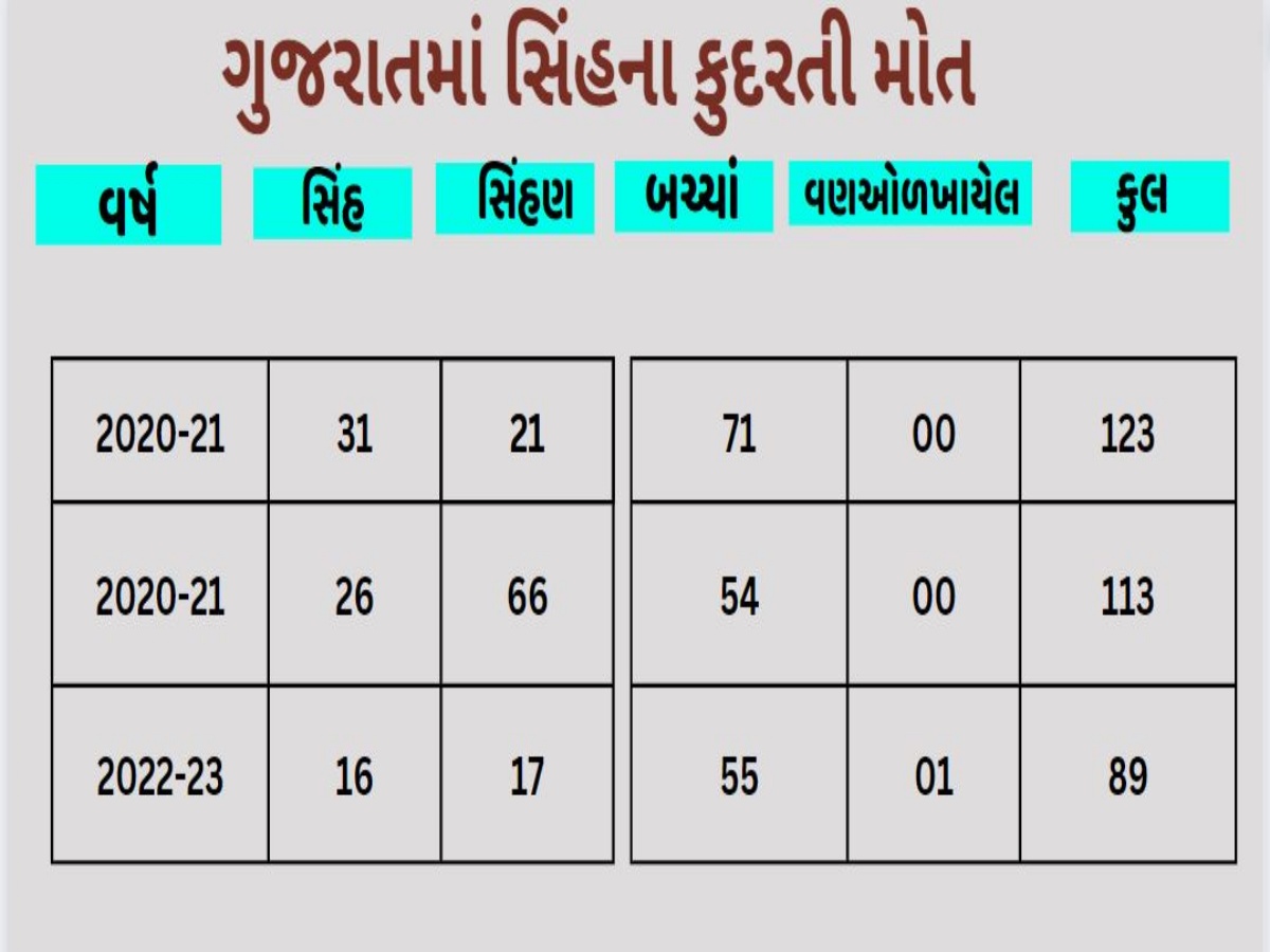 કુદરતી અને અકુદરતી મોત બંને મળી 366 સિંહના મોત