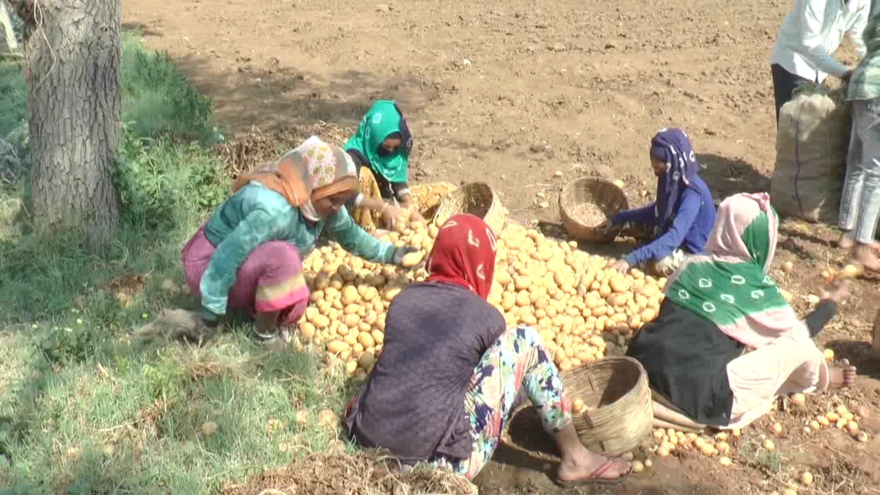 સહાય પેકેજ જાહેર છતાં ખેડૂતોમાં નારાજગી