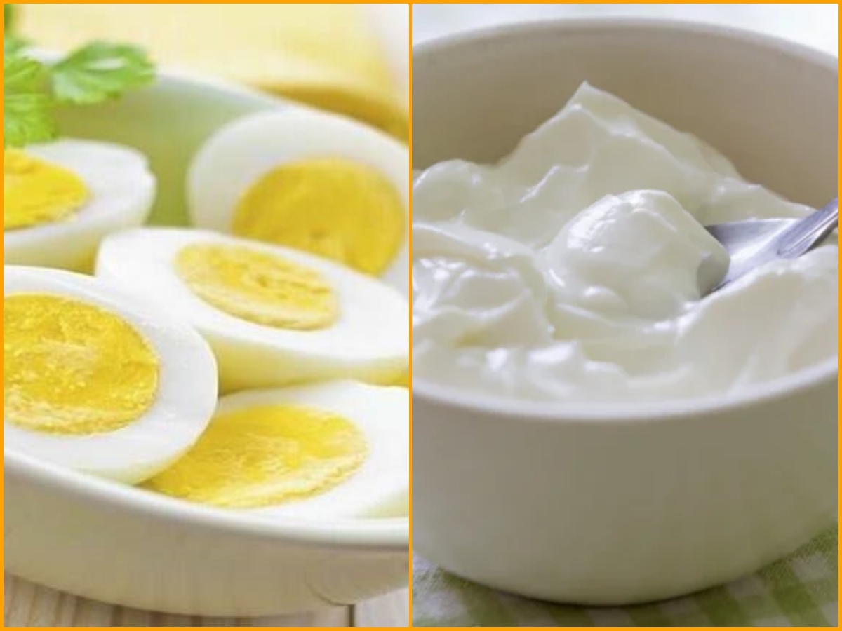 Boiled Egg and Yogurt