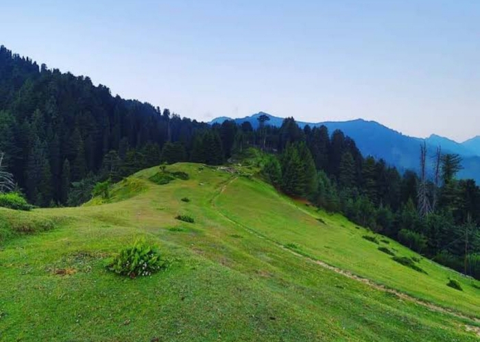 स्थानीय लोगों ने नई-राहें नई-मंजिल योजना के तहत लाने की उठाई मांग.