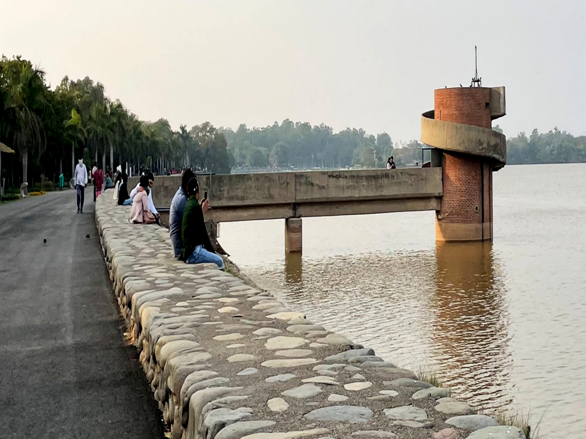 Chandigarh Sukhna Lake Big fishes extracted from Sukhna Lake Fisheries Department Chandigarh Latest News