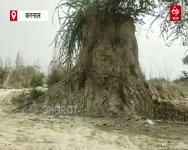 Hundreds of years old remains found in Johar Majra village