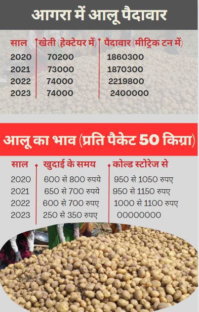 जानिए आलू का भाव साल दर साल कैसा रहा.