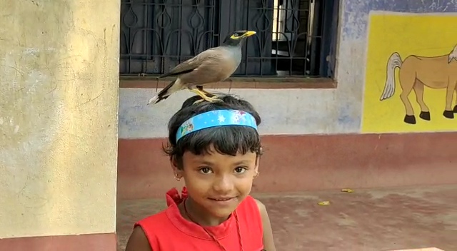Girl And Bird Love Story In West Bengal