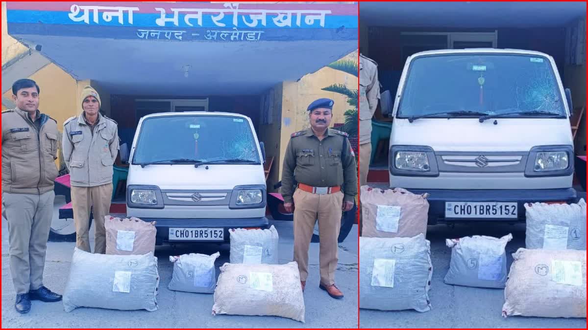 Almora ganja smuggling