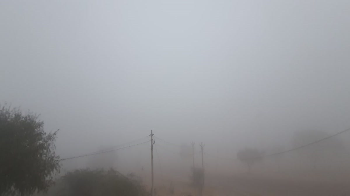 Dense Fog in Bikaner