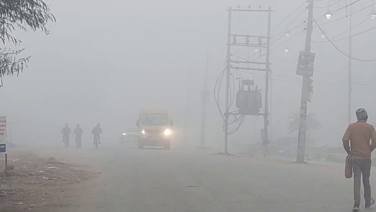 Cold Wave In Haryana