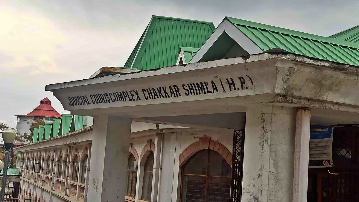 Shimla Court Sentenced 4 Chitta Peddlers