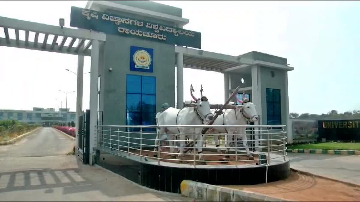 Raichur Agricultural University