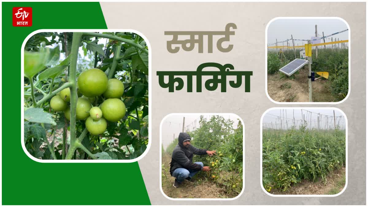 Smart Farming in Haryana