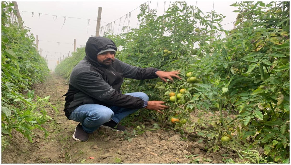 Smart Farming in Haryana