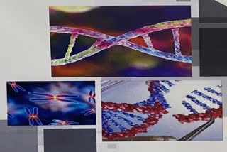 Human Genetics : અમદાવાદમાં હ્યુમન જિનેટિક્સ એન્ડ બાયોટેકનોલોજીના 15 દેશોના નિષ્ણાતો કરશે ચર્ચા