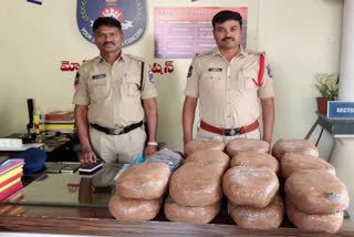 44 kg Ganja Sized Police