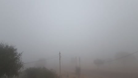 Dense Fog in Bikaner