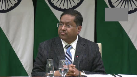 Understand actions that countries take in self defence: MEA on Iranian missile strike on Pak