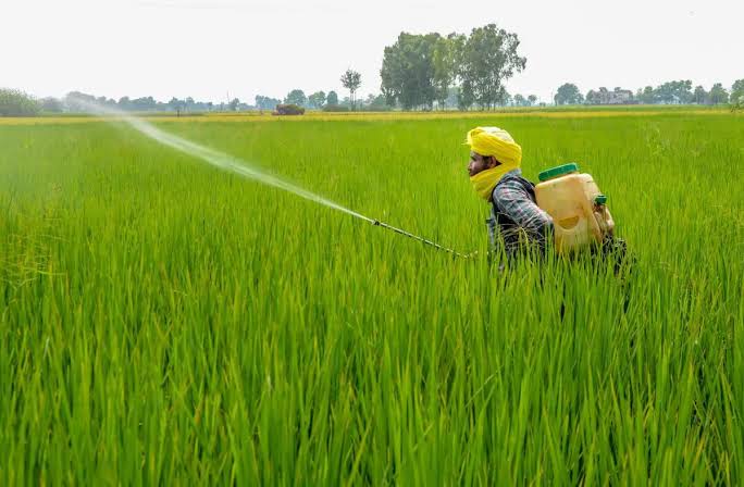 Drone Farming in Haryana