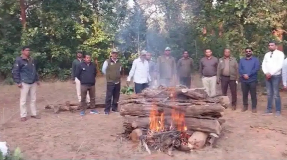 Funeral of tiger cub in Umaria