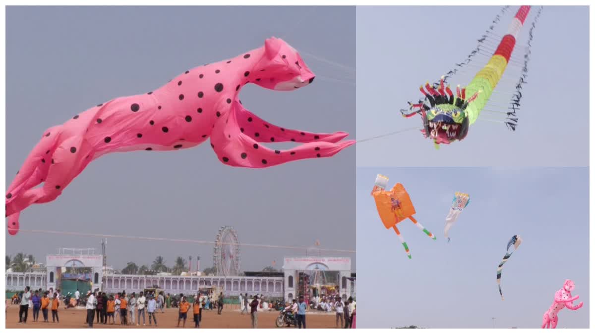 kite-festival