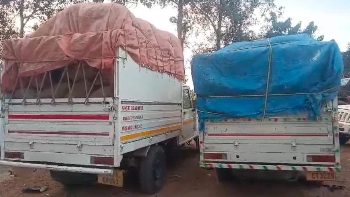 Illegal paddy transportation in Korea