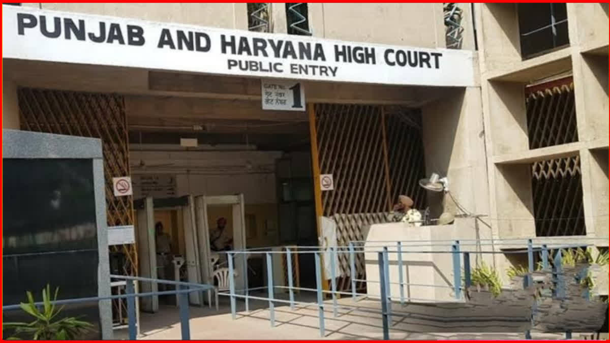 Punjab Haryana High Court order