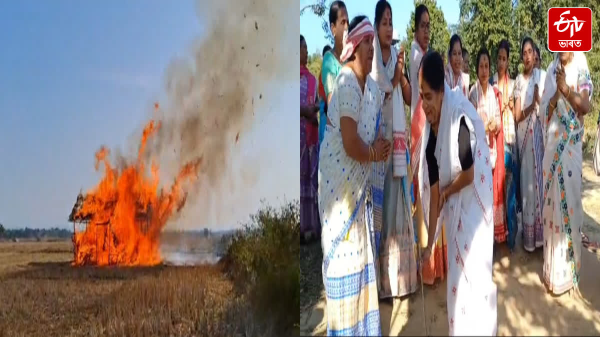 On the occasion of Bhogali Bihu, kali buri dance is performed in Kaliabor