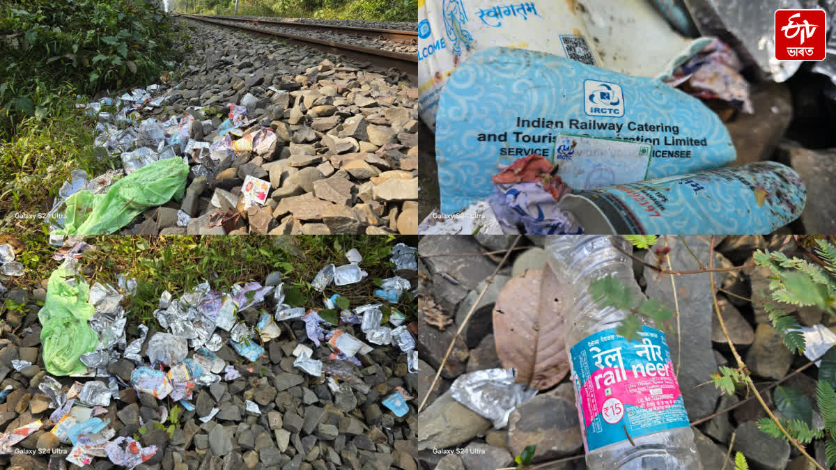 Train movement litters Gibbon wildlife sanctuary in Mariani