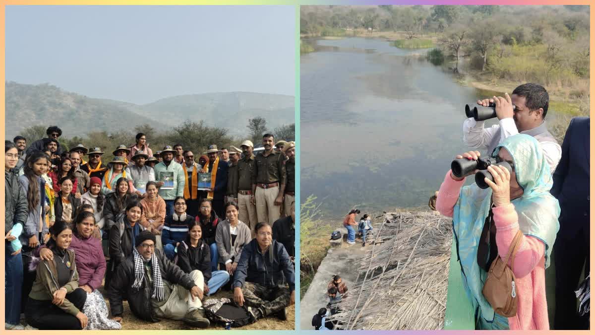 Bird festival in Udaipur