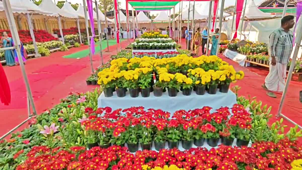 THRISSUR FLOWER SHOW  തൃശൂർ പുഷ്‌പമേള  പുഷ്‌പമേള  FLOWER SHOW AT SHAKTHAN GROUND