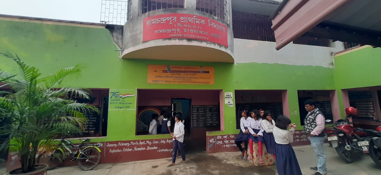 kitchen garden in School