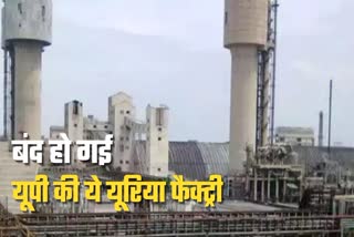 why kanpur biggest fertilizer factory locked know reason.