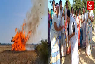 On the occasion of Bhogali Bihu, kali buri dance is performed in Kaliabor