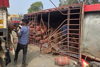 truck loaded with gas cylinders overturned