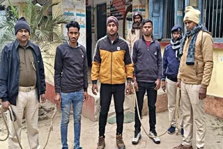 ILLEGAL WEAPONS IN PURNEA