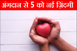 Faridabad Amrita Hospital Doctors gave new life to 5 people with organ donation from an elderly woman