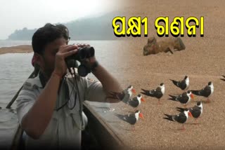 ରାଜ୍ୟରେ ଶୀତକାଳୀନ ବିଦେଶୀ ପକ୍ଷୀ ଗଣନା ଆରମ୍ଭ