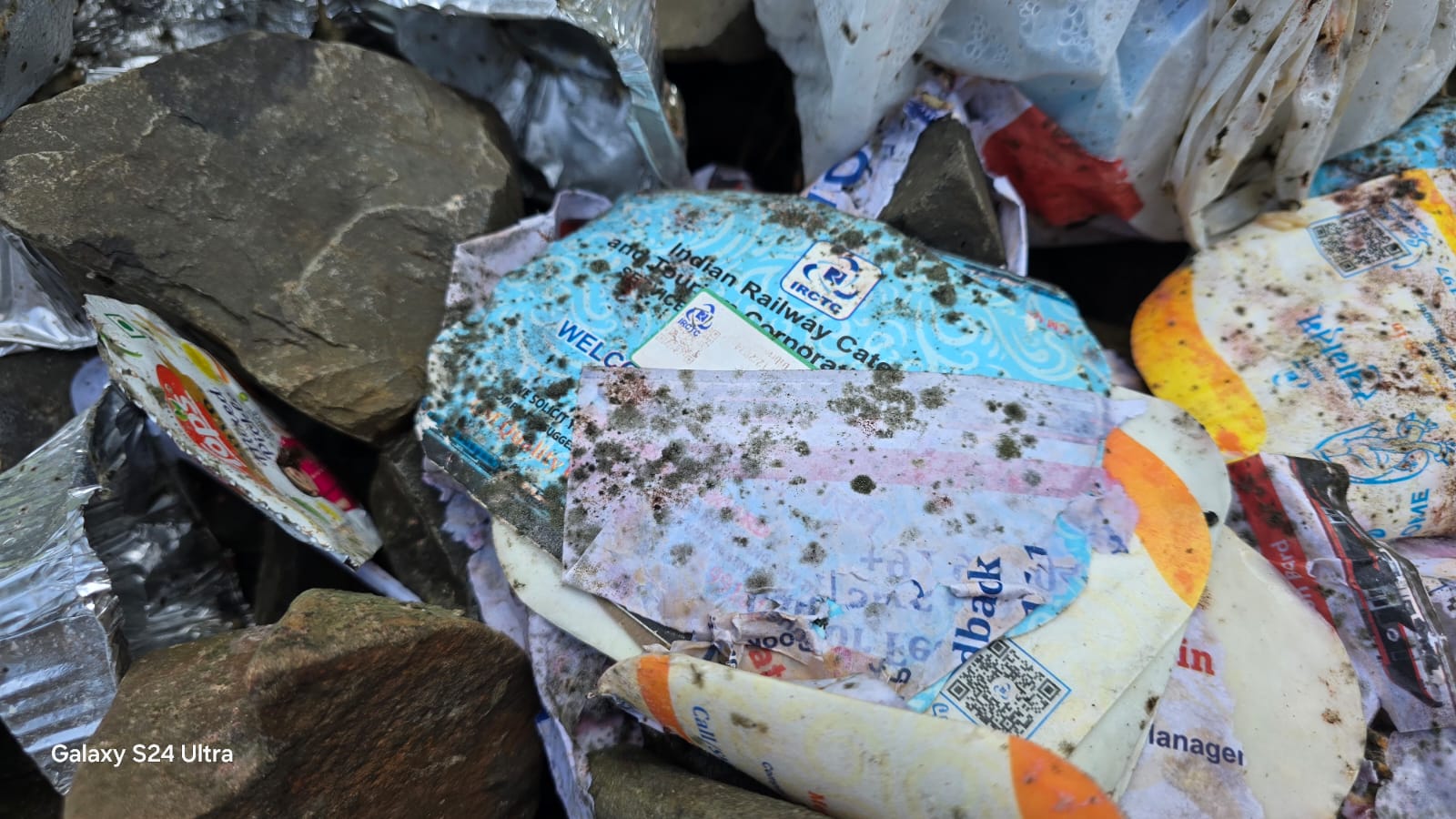 Train movement litters Gibbon wildlife sanctuary in Mariani