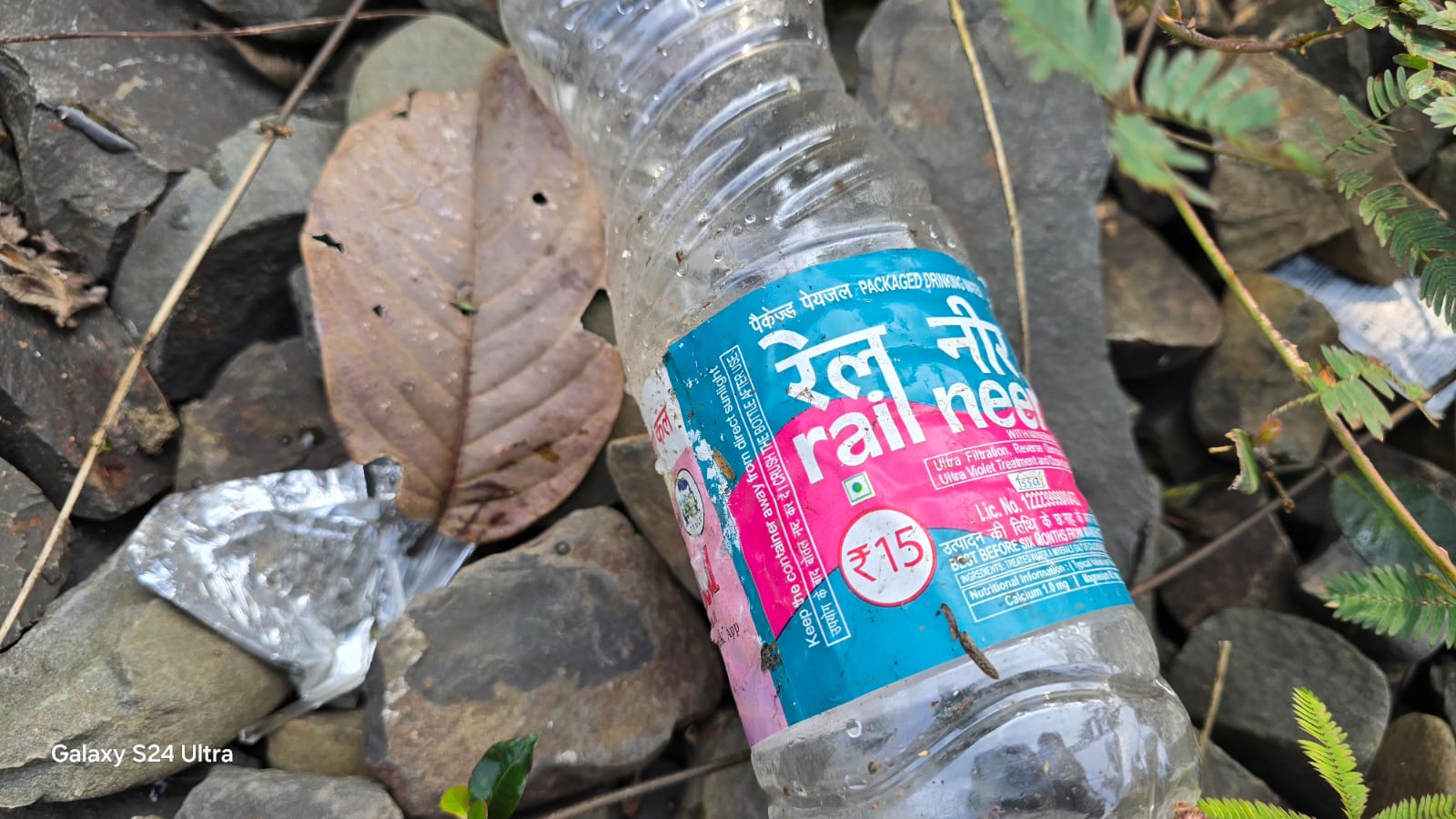 Train movement litters Gibbon wildlife sanctuary in Mariani